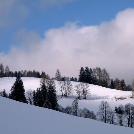 Urlaub Im Zirbenland Vila Obdach Exterior foto