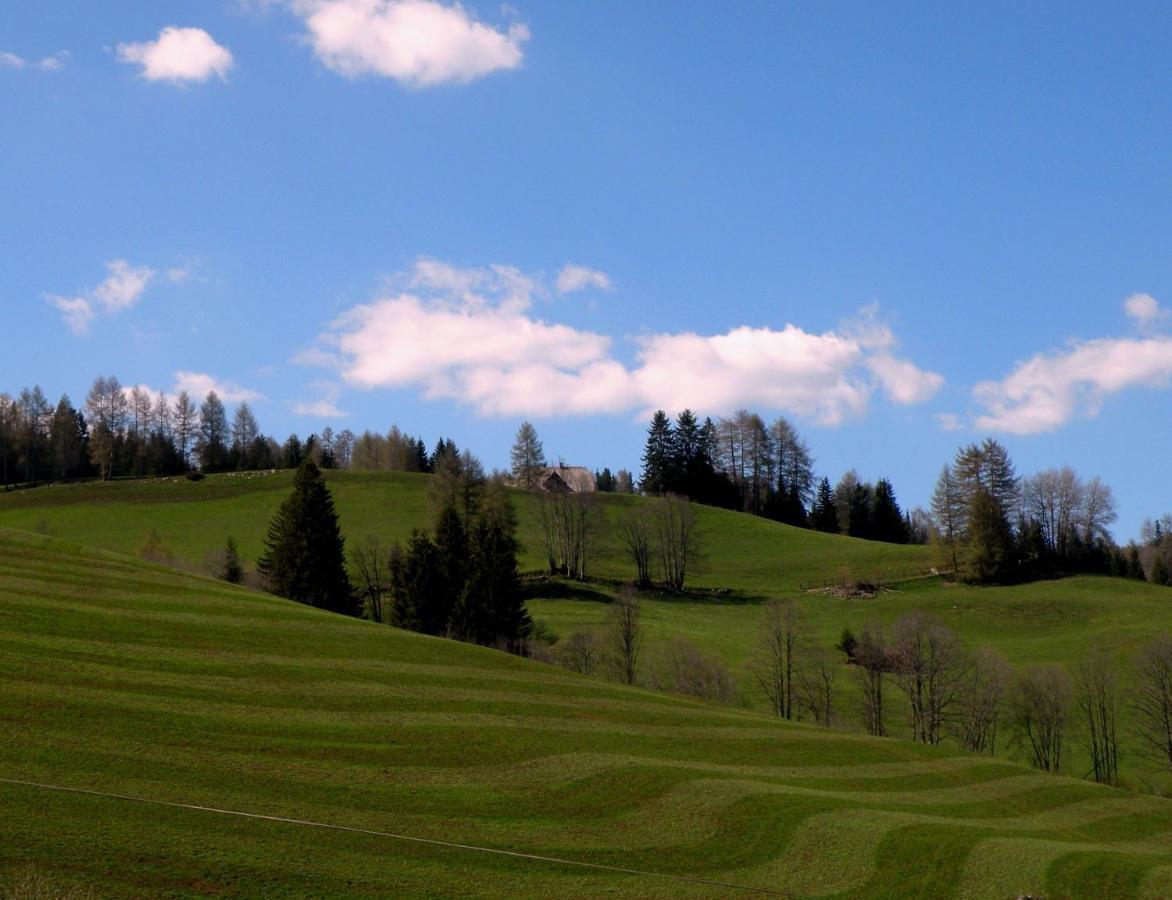 Urlaub Im Zirbenland Vila Obdach Exterior foto