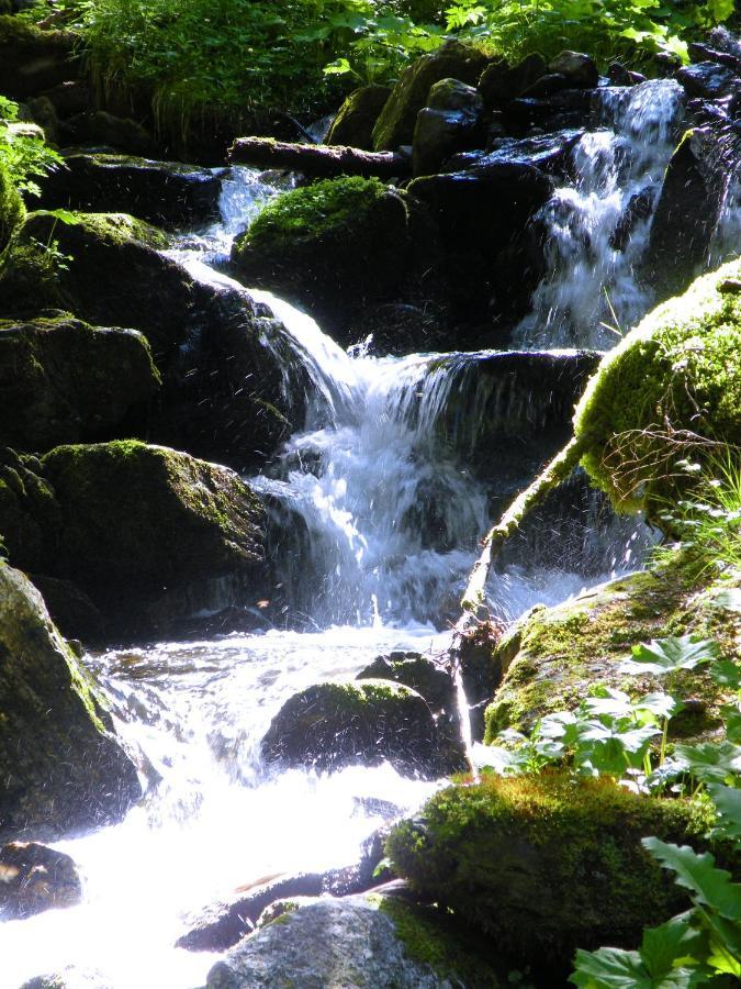 Urlaub Im Zirbenland Vila Obdach Exterior foto