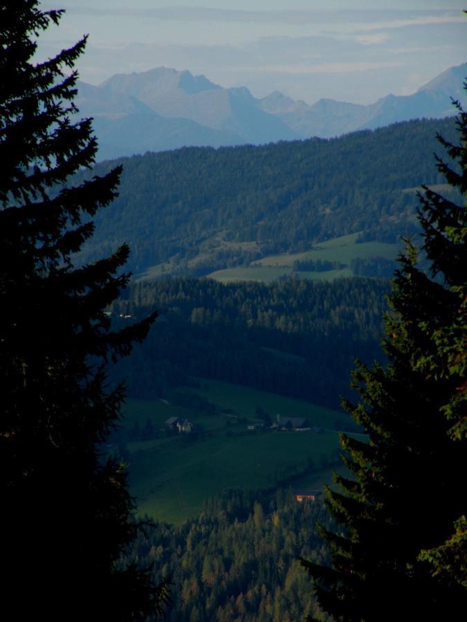 Urlaub Im Zirbenland Vila Obdach Exterior foto