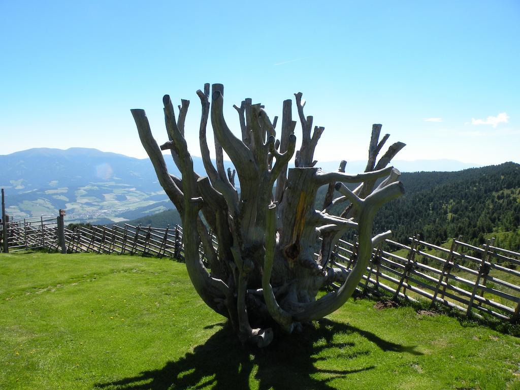 Urlaub Im Zirbenland Vila Obdach Exterior foto